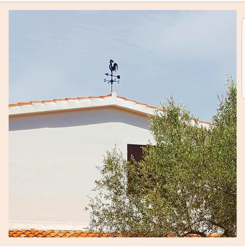 Villa La Rucchetta Alghero Exterior foto